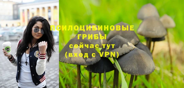 не бодяженный Арсеньев