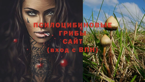 мяу мяу мука Аркадак