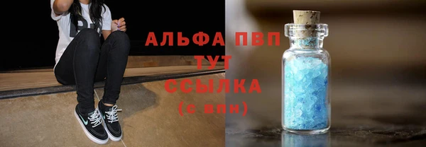 мяу мяу мука Аркадак