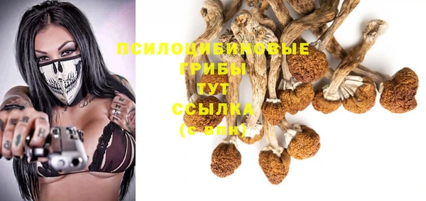 соль ск Алзамай