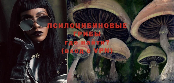 бутират Сатка