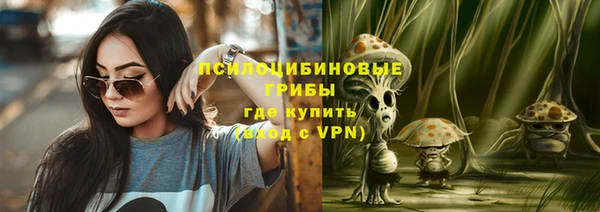 не бодяженный Арсеньев